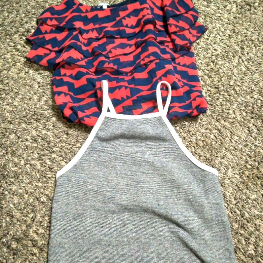 2 crop tops Zara and Charlotte russe